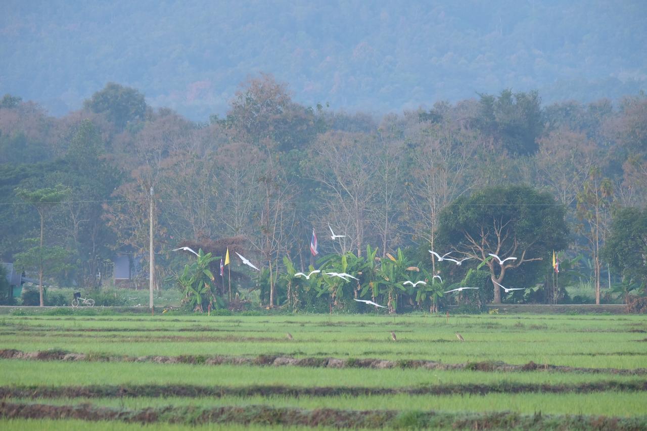 Camp Story Chiangmai Otel Chiang Mai Dış mekan fotoğraf
